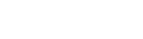 vizzi