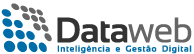 Dataweb Logo